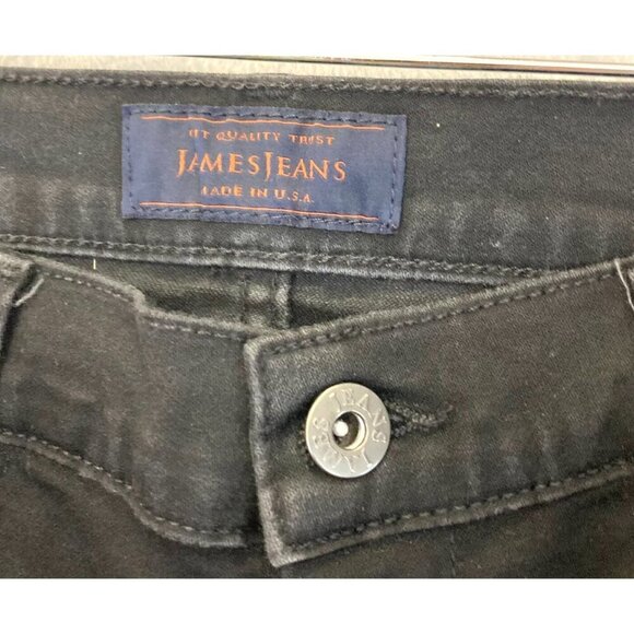 James Jeans Dietrich Thigh High Skinny Jeans 28 Femme Fatal Black Goth REVOLVE - Picture 6 of 16